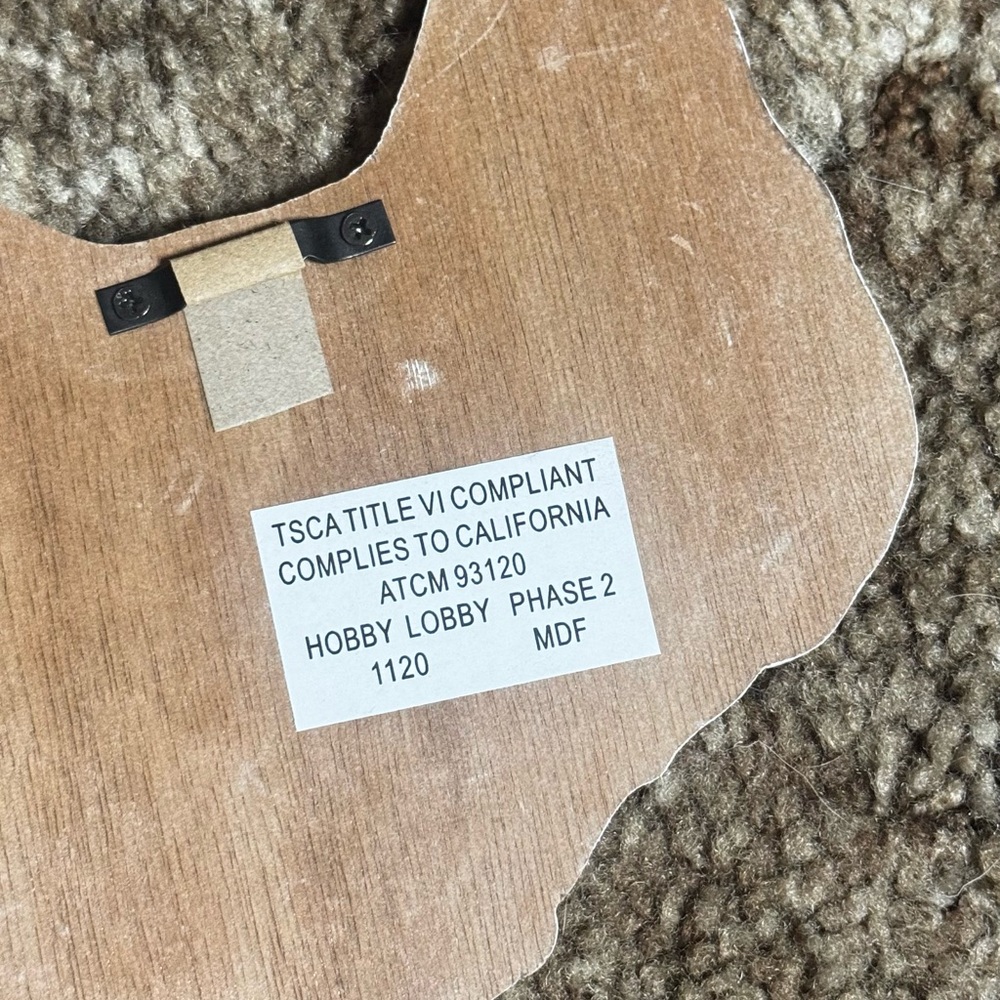 Hobby Lobby White and Tan Chicken 'eggs' Wall Decor - Picture 3 of 3